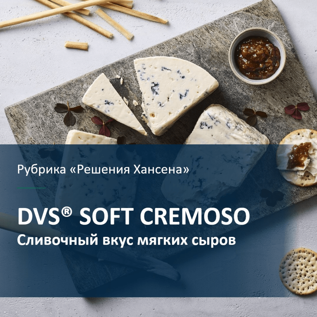 DVS® SOFT CREMOSO - ООО 